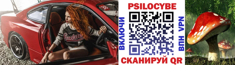 Псилоцибиновые грибы Psilocybe  ссылка на мегу онион  Вольск  что такое наркотик 