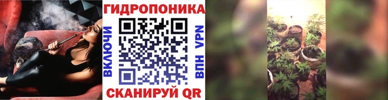 Шишки марихуана AK-47  цена наркотик  Вольск 